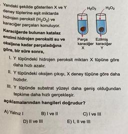 - Yandaki şekilde gösterilen X ve Y
deney tüplerine eşit miktarda
hidrojen peroksit (H₂O₂) ve
karaciğer parçaları konuluyor.
Karaciğerde bulunan katalaz
enzimi hidrojen peroksiti su ve
oksijene kadar parçaladığına
göre, bir süre sonra,
A) Yalnız I
H₂O₂
1. Y tüpündeki hidrojen peroksit miktarı X tüpüne göre
daha hızlı azalır.
II. Y tüpündeki oksijen çıkışı, X deney tüpüne göre daha
hızlıdır.
B) I ve II
III. Y tüpünde substrat yüzeyi daha geniş olduğundan
tepkime daha hızlı gerçekleşir.
açıklamalarından hangileri doğrudur?
D) II ve III
Parça Ezilmiş
karaciğer karaciğer
X
Y
H₂O₂
C) I ve III
E) I, II ve III