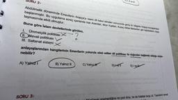 SORU 2:
Abdülmelik döneminde Emevilerin Arapça'yı resmi dil kabul etmeleri sonucunda geniş bir bölgede Arapça konuşulmaya
başlanmıştır. Bu uygulama süreç içerisinde Irak Aramileri, Mısır Kıptileri, Kuzey Afrika Berberileri gibi toplulukların Arap-
laşmasında etkili olmuştur.
Buna göre İslam devletlerinde görülen,
2
I. Ümmetçilik politikası X
II. Mevali politikası
III. Saltanat sistemi
anlayışlarından hangilerinin Emevilerin yukarıda sözü edilen dil politikası ile doğrudan bağlantılı olduğu söyle-
nebilir?
A) Yalnız 1
SORU 3:
B) Yalnız II
ban
E), II ve III
C) Yalnız H
D) Ivell
E) I ve
Conher
menliğine ne yeni dine, ne de hilafete karşı idi. Tepkilerin temel