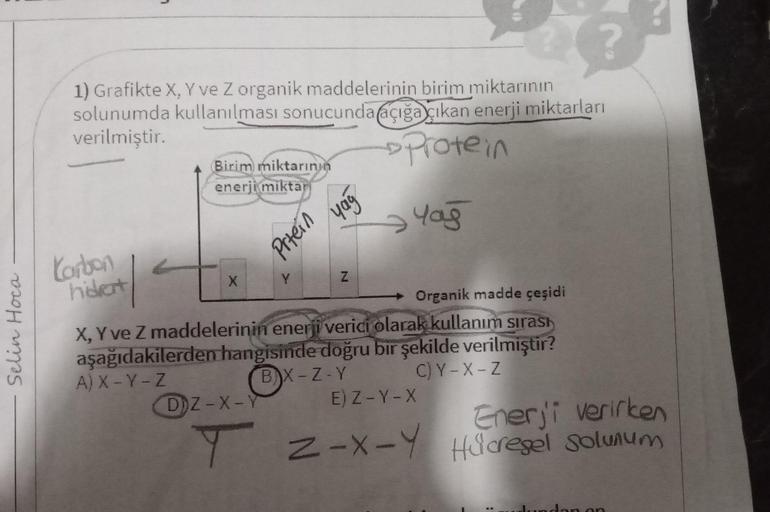 Selin Hoca
1) Grafikte X, Y ve Z organik maddelerinin birim miktarının
solunumda kullanılması sonucunda açığa çıkan enerji miktarları
verilmiştir.
Protein
Yağ
Karbon
hidrat
L
Birim miktarının
enerji miktar
X
Prtein
yag
Z
Organik madde çeşidi
X, Y ve Z madd