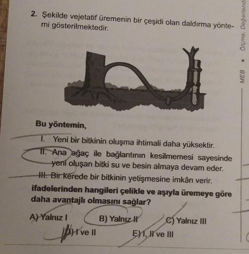 2. Şekilde vejetatif üremenin bir çeşidi olan daldırma yönte-
mi
gösterilmektedir.
Bu yöntemin,
1. Yeni bir bitkinin oluşma ihtimali daha yüksektir.
11. Ana ağaç ile bağlantının kesilmemesi sayesinde
yeni oluşan bitki su ve besin almaya devam eder.
III. Bi