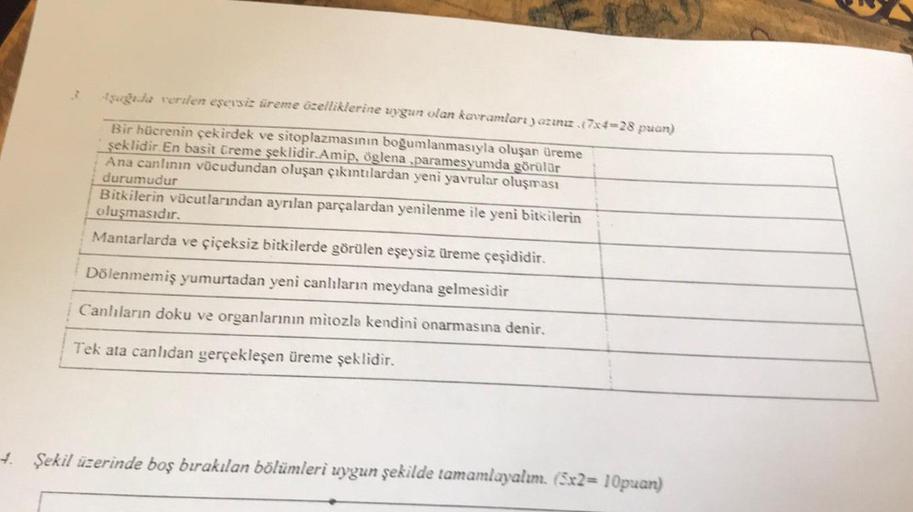 Aşağıda veriden eşeysiz üreme özelliklerine uygun olan kavramları yazınız.(7x4=28 puan)
Bir hücrenin çekirdek ve sitoplazmasının boğumlanmasıyla oluşan üreme
şeklidir En basit üreme şeklidir.Amip, öglena ,paramesyumda görülür
Ana canlının vücudundan oluşan