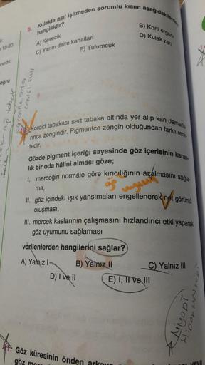 ir.
15-20
Sıvıdır.
oğru
9.
Kulakta asıl işitmeden sorumlu kısım aşağıdakilerden
hangisidir?
A) Kesecik
C) Yarım daire kanalları
ap tobak
COMSI SY
Egronlle org
E) Tulumcuk
1 Koroid tabakası sert tabaka altında yer alıp kan damarla
rinca zengindir. Pigmentce