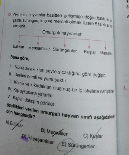 12. Omurgalı hayvanlar basitten gelişmişe doğru balik, iki ye
şamlı, sürüngen, kuş ve memeli olmak üzere 5 farklı sinif
incelenir.
Omurgalı hayvanlar
Balıklar İki yaşamlılar Sürüngenler Kuşlar Memeliler
Buna göre,
1. Vücut sıcaklıkları çevre sıcaklığına gö