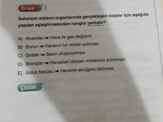 Örnek 3
Solunum sistemi organlarında gerçekleşen olaylar için aşağıda
yapılan eşleştirmelerden hangisi yanlıştır?
A) Alveoller Hava ile gaz değişimi
B) Burun Havanın bir miktar ısıtılması
C) Gırtlak
Sesin oluşturulması
D) Bronşlar Havadaki oksijen miktarın