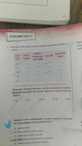 1.
UYGULAMA TESTİ -2
Beş farklı canlı türüne ait bazı özellikler aşağıdaki tabloda ve-
rilmiştir.
Canlı Hücre
türü çeperi
L
M
N
Histon
proteiniyle Klorofil
sarılı DNA
B) L
(+ işareti özelliğin olduğunu,- işareti özelliğin olmadığını belirtmektedir)
Buna gö