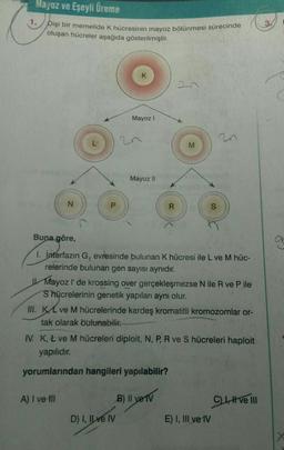 Mayoz ve Eşeyli Üreme
Dişi bir memelide K hücresinin mayoz bölünmesi sürecinde
oluşan hücreler aşağıda gösterilmiştir.
N
K
Mayoz I
A) I ve III
Mayoz II
Buna göre,
1. Interfazın G, evresinde bulunan K hücresi ile L ve M hüc-
relerinde bulunan gen sayısı aynıdır.
D) I, Ilve IV
M
Mayoz l' de krossing over gerçekleşmezse N ile R ve Pile
S hücrelerinin genetik yapıları aynı olur.
III. KL ve M hücrelerinde kardeş kromatitli kromozomlar or-
tak olarak bulunabilir.
20
IV. K, Ł ve M hücreleri diploit, N, P, R ve S hücreleri haploit
yapılıdır.
yorumlarından hangileri yapılabilir?
B) II ve TV
E) I, III ve IV
C), I ve III