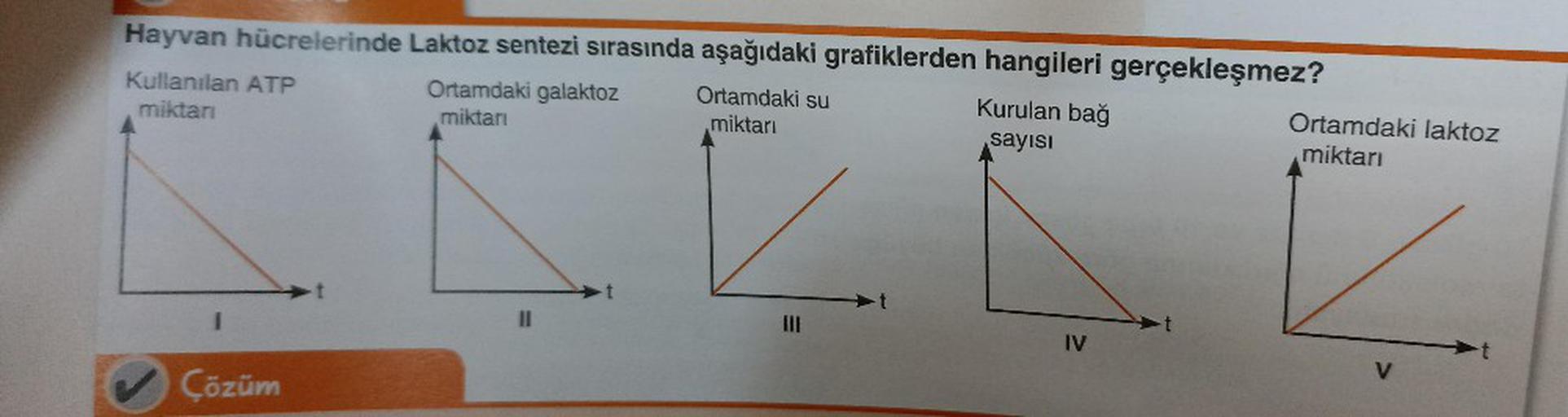Hayvan hücrelerinde Laktoz sentezi sırasında aşağıdaki grafiklerden hangileri gerçekleşmez?
Ortamdaki su
miktarı
Kullanılan ATP
miktarı
Çözüm
Ortamdaki galaktoz
miktarı
11
III
-t
Kurulan bağ
sayısı
IV
Ortamdaki laktoz
miktarı
V