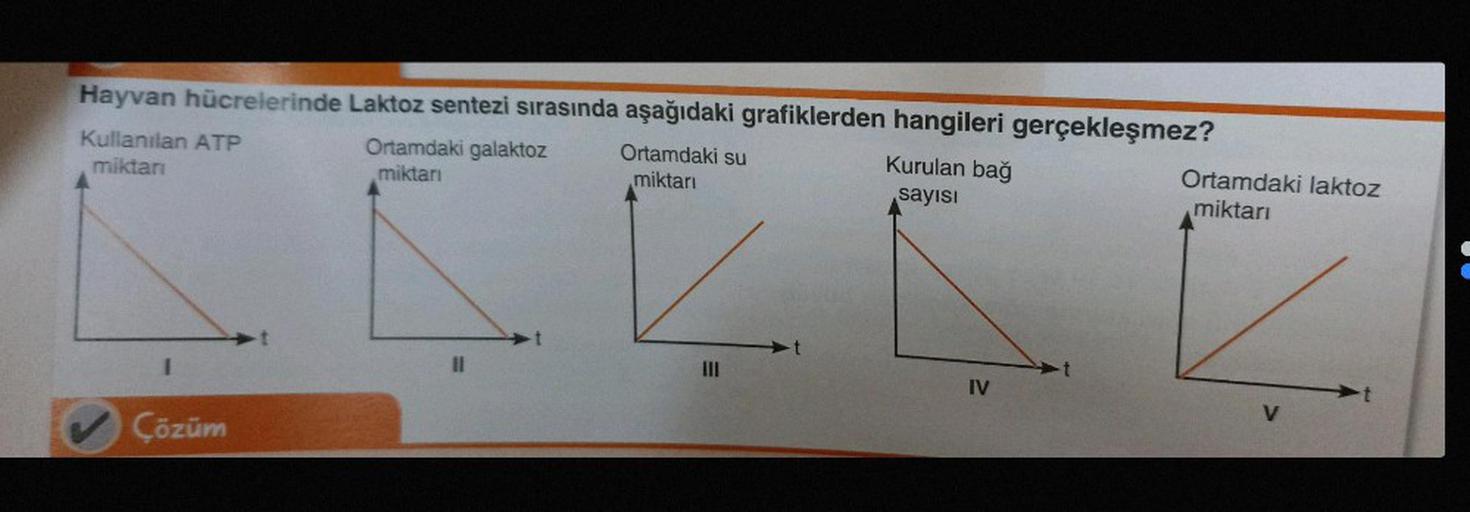 Hayvan hücrelerinde Laktoz sentezi sırasında aşağıdaki grafiklerden hangileri gerçekleşmez?
Ortamdaki su
miktarı
Kullanılan ATP
miktarı
Çözüm
Ortamdaki galaktoz
miktarı
III
Kurulan bağ
sayısı
IV
Ortamdaki laktoz
miktarı