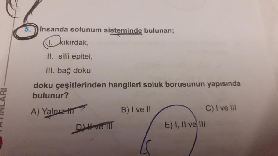 insanda solunum sisteminde bulunan;
kıkırdak,
II. silli epitel,
III. bağ doku
doku çeşitlerinden hangileri soluk borusunun yapısında
bulunur?
A) Yalnız
D) H ve III
B) I ve II
C) I ve III
E) I, II ve III