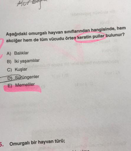 Kufe
Aşağıdaki omurgalı hayvan sınıflarından hangisinde, hem
akciğer hem de tüm vücudu örten keratin pullar bulunur?
A) Balıklar
B) İki yaşamlılar
C) Kuşlar
D) Sürüngenler
E) Memeliler
shans tidi
sy nie
5. Omurgalı bir hayvan türü;