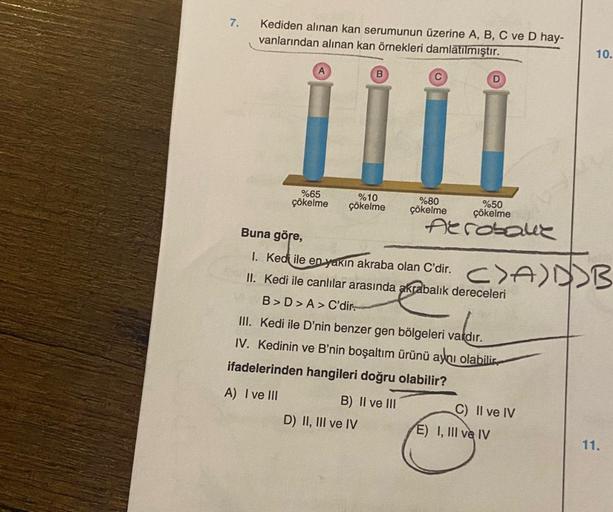 7.
Kediden alınan kan serumunun üzerine A, B, C ve D hay-
vanlarından alınan kan örnekleri damlatılmıştır.
A
%65
çökelme
B
%10
çökelme
C
B) II ve III
D) II, III ve IV
%80
çökelme
Buna göre,
1. Kedi ile en yakın akraba olan C'dir.
II. Kedi ile canlılar aras