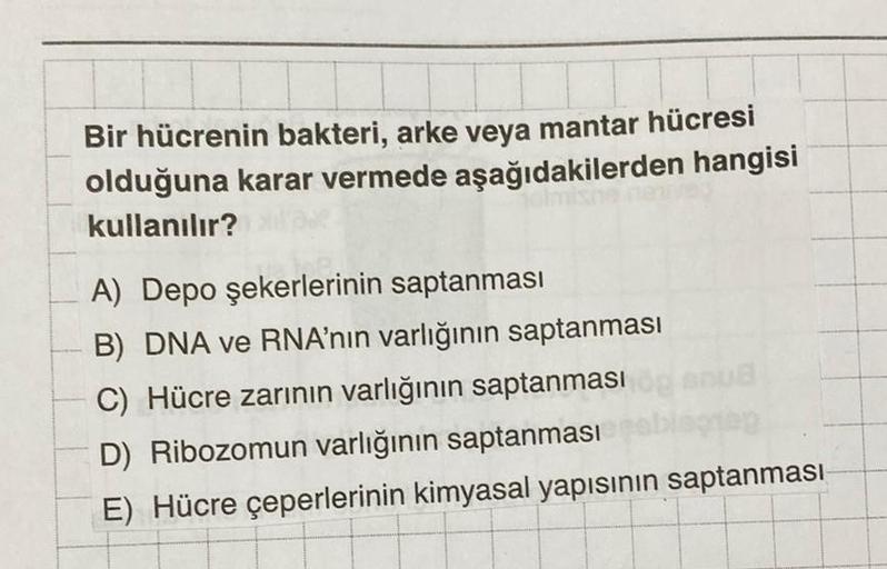 Bir hücrenin bakteri, arke veya mantar hücresi
olduğuna karar vermede aşağıdakilerden hangisi
kullanılır?
A) Depo şekerlerinin saptanması
B) DNA ve RNA'nın varlığının saptanması
C) Hücre zarının varlığının saptanması
D) Ribozomun varlığının saptanması
E) H