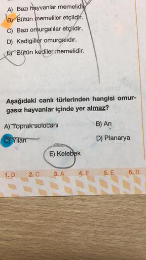 A) Bazı hayvanlar memelidi
BY Bütün memeliler etçildir.
C) Bazı omurgalılar etçidir.
D) Kedigiller omurgalıdır.
E Bütün kediler memelidir.
Aşağıdaki canlı türlerinden hangisi omur-
gasız hayvanlar içinde yer almaz?
A) Toprak soiucani
C)Yılan
1. D
TE
2. C
E