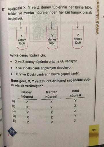 17. Aşağıdaki X, Y ve Z deney tüplerinin her birine bitki,
bakteri ve mantar hücrelerinden her biri karışık olarak
bırakılıyor.
e
da
A)
B)
X
deney
tüpü
Ayrıca deney tüpleri için,
X ve Z deney tüpünde ortama O₂ veriliyor.
X ve Y'deki canlılar glikojen depol