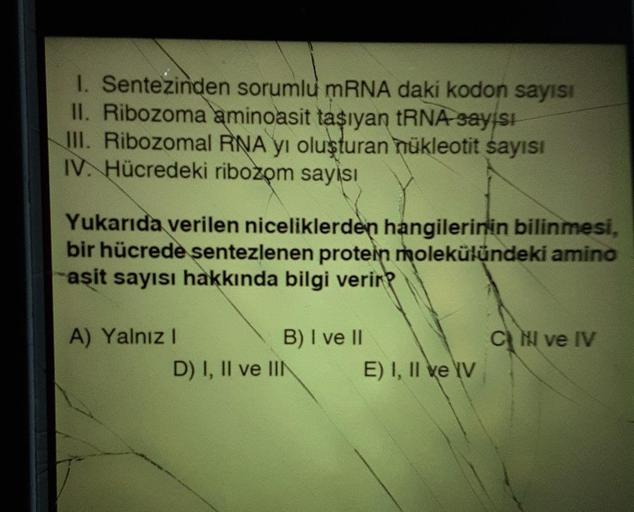 1. Sentezinden sorumlu mRNA daki kodon sayısı
II. Ribozoma aminoasit taşıyan tRNA sayısı
III. Ribozomal RNA yı oluşturan nükleotit sayısı
IV. Hücredeki ribozom sayısı
Yukarıda verilen niceliklerden hangilerinin bilinmesi,
bir hücrede sentezlenen protein mo