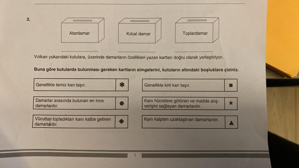 2.
Atardamar
Genellikle temiz kan taşır.
Volkan yukarıdaki kutulara, üzerinde damarların özellikleri yazan kartları doğru olarak yerleştiriyor.
Buna göre kutularda bulunması gereken kartların simgelerini, kutuların altındaki boşluklara çiziniz.
Damarlar ar