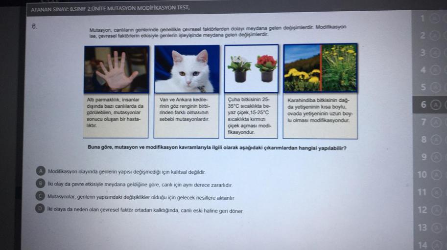 ATANAN SINAV: 8.SINIF 2.UNITE MUTASYON MODIFIKASYON TEST,
6.
Mutasyon, canlıların genlerinde genellikle çevresel faktörlerden dolayı meydana gelen değişimlerdir. Modifikasyon
ise, çevresel faktörlerin etkisiyle genlerin işleyişinde meydana gelen değişimler
