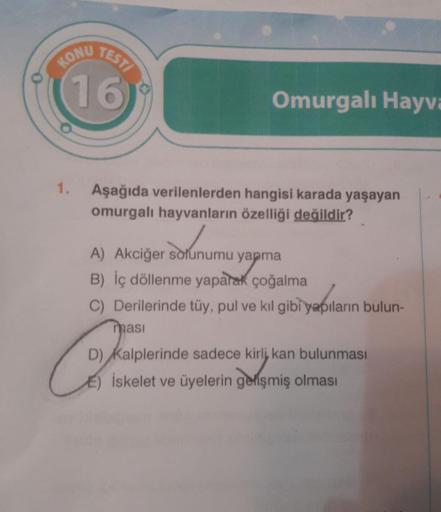 o
KONU
1.
TESTI
16
Aşağıda verilenlerden hangisi karada yaşayan
omurgalı hayvanların özelliği değildir?
Omurgalı Hayva
A) Akciğer solunumu yapma
B) İç döllenme yaparak çoğalma
C) Derilerinde tüy, pul ve kıl gibi yapıların bulun-
C
masi
D) Kalplerinde sadec