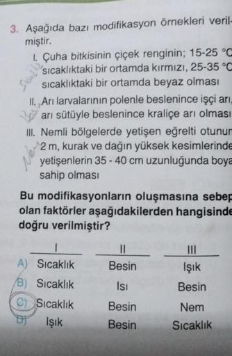 3. Aşağıda bazı modifikasyon örnekleri veril-
miştir.
1. Çuha bitkisinin çiçek renginin; 15-25 °C
sıcaklıktaki bir ortamda kırmızı, 25-35 °C
sıcaklıktaki bir ortamda beyaz olması
II. Arı larvalarının polenle beslenince işçi arı,
arı sütüyle beslenince kral