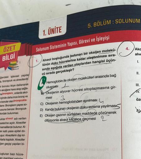 ÖZET
BİLGİ
gerdeki işlevsel yapılar
ş, bronşcuk ve alveollerdir.
k borusu ikiye dallanarak
ir akciğere hava akışı sağla-
mabronşlara, onlarda akci-
içinde daha ince bronş ve
borular olan bronşcukla-
lanır. Bronşların yapısı so-
usuna benzer. Bronşcuk-
kırd