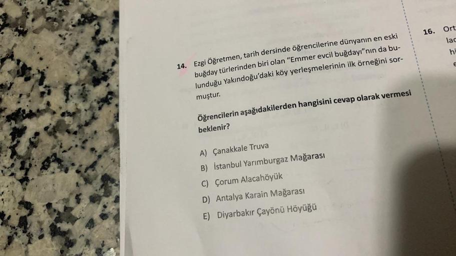 14. Ezgi Öğretmen, tarih dersinde öğrencilerine dünyanın en eski
buğday türlerinden biri olan "Emmer evcil buğdayı"nın da bu-
lunduğu Yakındoğu'daki köy yerleşmelerinin ilk örneğini sor-
muştur.
Öğrencilerin aşağıdakilerden hangisini cevap olarak vermesi
b