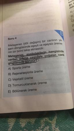 Soru 4
Metagenez (döl değişim) bir canlının ya-
şam döngüsünde eşeyli ve eşeysiz üreme-
nin bir birini takip etmesidir.
Metagenez, asağıdakilerin hangisinde
verilen üreme ceşidiyle çoğalan canlı
gruplarında görülür?
A) Sporla üreme
B) Rejenerasyonla üreme
C) Vejetatif üreme
D) Tomurcuklanarak üreme
E) Bölünerek üreme
kor
ğu e
dak
A)
B)
C)
D
E