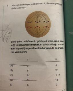 Mayoz bölünme geçirdiği bilinen bir hücrenin şekli aşa-
ğıda verilmiştir.
6.
2n=6
Buna göre bu hücrenin şekildeki kromozom sayı-
si (1) ve bölünmeye başlarken sahip olduğu kromo-
zom sayısı (II) seçeneklerden hangisinde doğru ola-
rak verilmiştir?
A)
B)
C)
D)
E)
|
3
6
6
3
6
||
6
12
6 α
18
9
G
Es