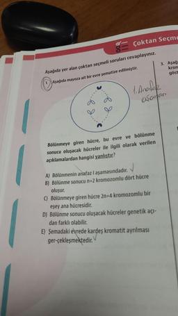 Çoktan Seçme
Aşağıda yer alan çoktan seçmeli soruları cevaplayınız.
1. Aşağıda mayoza ait bir evre şematize edilmiştir.
>
1. Anafar
osomas,
Bölünmeye giren hücre, bu evre ve bölünme
sonucu oluşacak hücreler ile ilgili olarak verilen
açıklamalardan hangisi yanlıştır?
J
A) Bölünmenin anafaz I aşamasındadır.
B) Bölünme sonucu n=2 kromozomlu dört hücre
3. Aşağı
krom
göst
oluşur.
C) Bölünmeye giren hücre 2n=4 kromozomlu bir
eşey ana hücresidir.
D) Bölünme sonucu oluşacak hücreler genetik açı-
dan farklı olabilir.
E) Şemadaki evrede kardeş kromatit ayrılması
ger-çekleşmektedir.