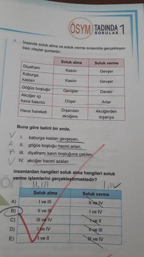 7.
A)
B)
Insanda soluk alma ve soluk verme sırasında gerçekleşen
bazı olaylar şunlardır:
Diyafram
Kaburga
kasları
Göğüs boşluğu
Akciğer içi
hava basıncı
Hava hareketi
Övern
C)
D)
E)
ÖSYM TADINDA 1
SORULAR
Soluk alma
Kasılır
1.
kaburga kasları gevşeyen,
II.