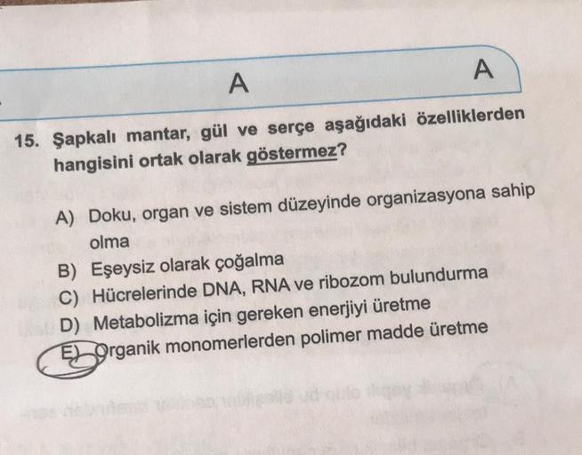 A
A
15. Şapkalı mantar, gül ve serçe aşağıdaki özelliklerden
hangisini ortak olarak göstermez?
A) Doku, organ ve sistem düzeyinde organizasyona sahip
olma
B) Eşeysiz olarak çoğalma
C) Hücrelerinde DNA, RNA ve ribozom bulundurma
D) Metabolizma için gereken