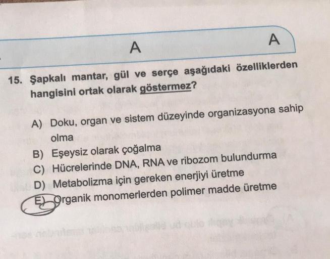 A
A
15. Şapkalı mantar, gül ve serçe aşağıdaki özelliklerden
hangisini ortak olarak göstermez?
A) Doku, organ ve sistem düzeyinde organizasyona sahip
olma
B) Eşeysiz olarak çoğalma
C) Hücrelerinde DNA, RNA ve ribozom bulundurma
D) Metabolizma için gereken 