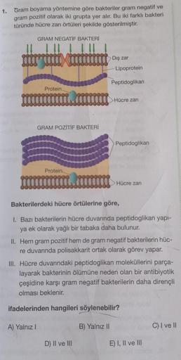 1.
Gram boyama yöntemine göre bakteriler gram negatif ve
gram pozitif olarak iki grupta yer alır. Bu iki farklı bakteri
türünde hücre zarı örtüleri şekilde gösterilmiştir.
GRAM NEGATİF BAKTERİ
12
Protein.
GRAM POZİTİF BAKTERİ
A) Yalnız I
Protein
hücre
Dış 