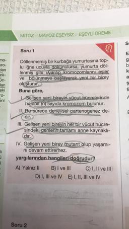 mo-
kro-
den
nlı-
üc-
dan
eki
ro-
eni
a
ü
i
MÍTOZ-MAYOZ EŞEYSIZ-EŞEYLİ ÜREME
{
Döllenmemiş bir kurbağa yumurtasına top-
lu iğne ucuyla dokunulursa, yumurta döl-
lenmiş gibi uyarılıp kromozomlarını eşler
ve bölünmeye başlayarak yeni bir birey
oluşturur.
Soru 1
Buna göre,
I. Gelisen yeni bireyin vücut hücrelerinde
haploit (n) sayıda kromozom bulunur.
II. Bu sürece deneysel partenogenez de-
nir.
III. Gelişen yeni bireyin her bir vücut hücre-
sindeki genlerin tamamı anne kaynaklı-
dır.
IV. Gelişen yeni birey mutant olup yaşamı-
ni devam ettiremez.
yargılarından hangileri doğrudur?
A) Yalnız II
B) I ve III
D) I, III ve IV E) I, II, III ve IV
Soru 2
C) I, II ve III
S
E66 6
E
g
b
k
a
Ş
g
A
E