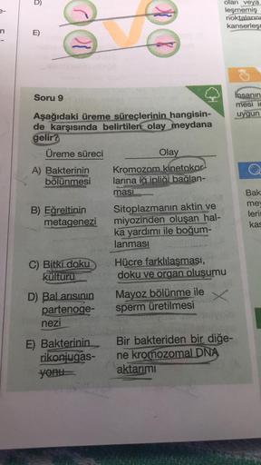 3-
Ô
E)
da
Soru 9
Aşağıdaki üreme süreçlerinin hangisin-
de karşısında belirtilen olay meydana
gelir?
Üreme süreci
A) Bakterinin
bölünmesi
B) Eğreltinin
metagenezi
C) Bitki doku
kültürü
D) Balarısının
partenoge-
nezi
E) Bakterinin
rikonjugas-
yonu
Olay
Kro