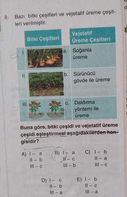 = 8. Bazı bitki çeşitleri ve vejetatif üreme çeşit-
leri verilmiştir.
II.
Bitki Çeşitleri
III.
A) I - a
11 - b
III-c
Vejetatif
Üreme Çeşitleri
a. Soğanla
üreme
D) I- C
11 - b
III-a
b. Sürünücü
C.
gövde ile üreme
Buna göre, bitki çeşidi ve vejetatif üreme
çeşidi eşleştirmesi aşağıdakilerden han-
gisidir?
Daldırma
yöntemi ile
üreme
B) - a
W- c
Ill-b
C) 1 - b
11 - a
III - C
E) 1 - b
11- c
- a
d