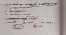 11. Bal arılarının oluşturduğu yumurta ve spermler ile ilgili,
4. mayoz bölünme ile oluşma,
II. döllenmeye katılma,
Chaploit kromozomlu olma
özelliklerinden hangileri ortaktır?
A) Yalnız
B) Yalnız II
D) I ve III
e) Yalniz III
E) tt ve tit