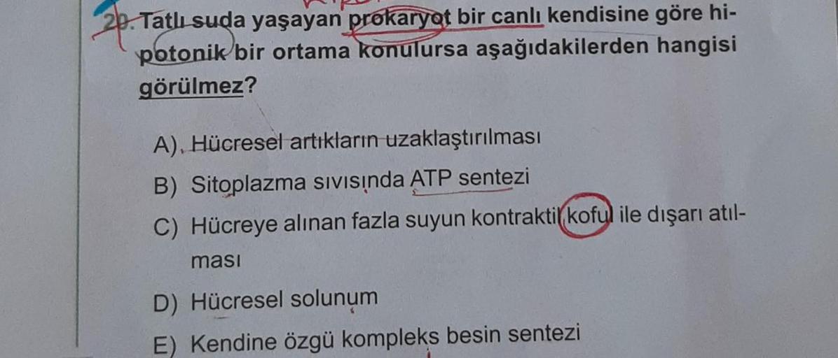 20. Tatlı suda yaşayan prokaryot bir canlı kendisine göre hi-
potonik bir ortama konulursa aşağıdakilerden hangisi
görülmez?
A), Hücresel artıkların uzaklaştırılması
B) Sitoplazma Sivisinda ATP sentezi
C) Hücreye alınan fazla suyun kontraktil koful ile dış