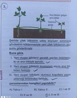 karekök
3.
Buna göre,
PREVA
Şekilde çilek bitkisinin yatay büyüyen sürünücü
gövdesinin köklenmesiyle yeni çilek bitkilerinin olu-
şumu gösterilmiştir.
Ana bitkiden gelişen
yeni bitkiler
I. Yeni oluşan bitkilerin genetik yapıları birbirleriy-
le ve ana bitkiyle aynıdır.
Sürünücü
gövde
II. Yeni oluşan bitkilerin kromozom sayısı ana bit-
kiden farklıdır.
A) Yalnız I
III. Yeni oluşan bitkilerin olumsuz koşullara uyum
yeteneği birbirinden farklıdır.
yorumlarından hangileri yapılabilir?
D) II ve III
B) Yalnız II
C) I ve III
E) I, II ve III