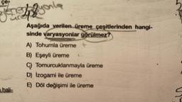 çe
Jenet you!
hali-
Aşağıda verilen üreme çeşitlerinden hangi-
sinde varyasyonlar görülmez?
A) Tohumla üreme +
B) Eşeyli üreme
C) Tomurcuklanmayla üreme
D) İzogami ile üreme
E) Döl değişimi ile üreme
099