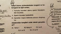 lişerek
64
Eşeyli üreme yöntemlerinden izogami ve he-
terogami ile ilgili verilen,
gigle
eşididi, II. Sperm hücreleri hareketlidir.
C.
Dreme,
angisi-
1. Yumurta hücreleri daima sperm hücrelerin-
den büyüktür.
III. Gametler mayoz bölünme sonucu oluşmuş-
tur.
olaylarından hangileri ortak olarak gerçekle-
şir?
A) Yalnız I
B) Yalnız II
D) II ve III
C) I ve II
E) I, II ve III
68
Tomurcukla
H. Çelikle üre
III. Konjugasy
Yukarıdaki ü
sonucunda r
yapısı ata car
A) Yalnız+
DIL
lek
ak