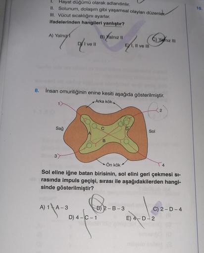 Hayat düğümü olarak adlandırılır.
II. Solunum, dolaşım gibi yaşamsal olayları düzenler.
III. Vücut sıcaklığını ayarlar.
ifadelerinden hangileri yanlıştır?
A) Yalnız
Sağ
o/1
3
I ve II
B) Yalnız II
8. İnsan omuriliğinin enine kesiti aşağıda gösterilmiştir.
A