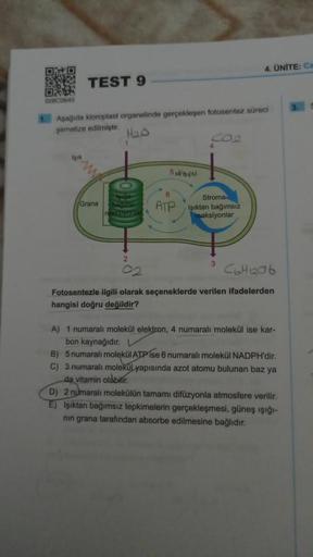 ONE
02800645
TEST 9
Işık
1. Aşağıda kloroplast organelinde gerçekleşen fotosentez süreci
şematize edilmiştir.
H₂0
Grana
Haga
batterie
a Petyanlar
5 NADPH
4
6
Stroma
ATP Işıktan bağımsız
reaksiyonlar
4. ÜNİTE: Ca
3
C6H1206
Fotosentezle ilgili olarak seçenek