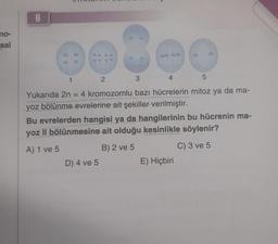 no-
sal
8
eeSee
3
2
1
Yukarıda 2n = 4 kromozomlu bazı hücrelerin mitoz ya da ma-
yoz bölünme evrelerine ait şekiller verilmiştir.
D) 4 ve 5
5
Bu evrelerden hangisi ya da hangilerinin bu hücrenin ma-
yoz Il bölünmesine ait olduğu kesinlikle söylenir?
A) 1 ve 5
B) 2 ve 5
C) 3 ve 5
E) Hiçbiri