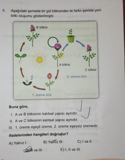 9.
Aşağıdaki şemada bir gül bitkisinden iki farklı şekilde yeni
bitki oluşumu gösterilmiştir.
B bitkisi
***
1. üreme türü
A bitkisi
ve III
2. üreme türü
Buna göre,
1. A ve B bitkisinin kalıtsal yapısı aynıdır.
II. A ve C bitkisinin kalıtsal yapısı aynıdır.
III. 1. üreme eşeyli üreme, 2. üreme eşeysiz üremedir.
ifadelerinden hangileri doğrudur?
A) Yalnız I
B) Yalnız III
C bitkisi
C) I ve II
E) I, II ve III