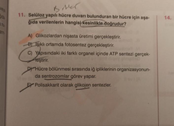 veya ide ann BALT 11. Selüloz yapılı hücre duvarı b… Biyoloji veya ide ann BALT 11. Selüloz yapılı hücre duvarı b… Biyoloji