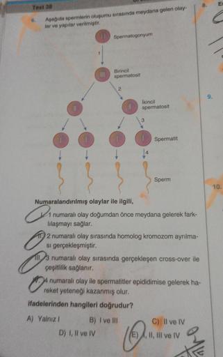 Test 38
6.
Aşağıda spermlerin oluşumu sırasında meydana gelen olay-
lar ve yapılar verilmiştir.
Q₁
11 Spermatogonyum
Birincil
spermatosit
2
İkincil
spermatosit
D) I, II ve IV
3
Numaralandırılmış olaylar ile ilgili,
1 numaralı olay doğumdan önce meydana gel