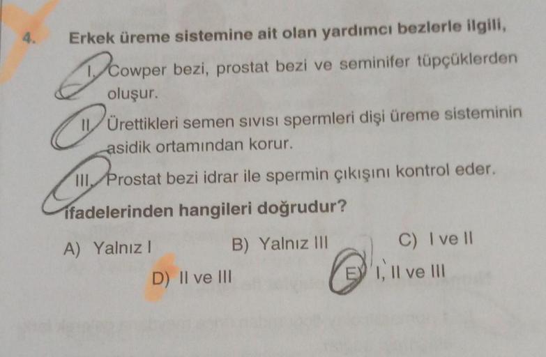 Erkek üreme sistemine ait olan yardımcı bezlerle ilgili,
Doo
O
Cowper bezi, prostat bezi ve seminifer tüpçüklerden
oluşur.
Ürettikleri semen SIVISI Spermleri dişi üreme sisteminin
asidik ortamından korur.
III Prostat bezi idrar ile spermin çıkışını kontrol