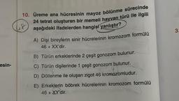 esin-
10. Üreme ana hücresinin mayoz bölünme sürecinde
24 tetrat oluşturan bir memeli hayvan türü ile ilgili
aşağıdaki ifadelerden hangisi yanlıştır?
48
A) Dişi bireylerin sinir hücrelerinin kromozom formülü
46 + XX'dir.
B) Türün erkeklerinde 2 çeşit gonozom bulunur.
C) Türün dişilerinde 1 çeşit gonozom bulunur.
D) Döllenme ile oluşan zigot 46 kromozomludur.
E) Erkeklerin böbrek hücrelerinin kromozom formülü
46 + XY'dir.
3.