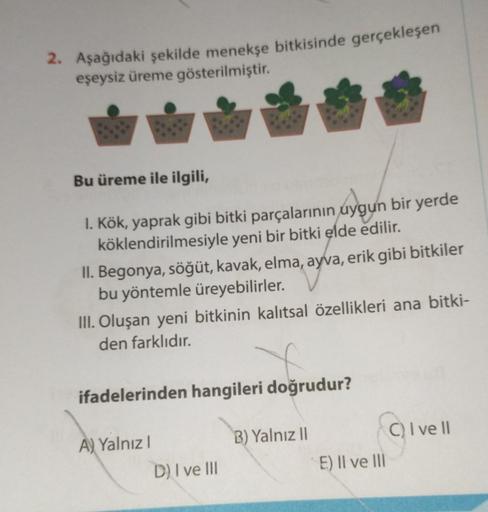 2. Aşağıdaki şekilde menekşe bitkisinde gerçekleşen
eşeysiz üreme gösterilmiştir.
Bu üreme ile ilgili,
1. Kök, yaprak gibi bitki parçalarının uygun bir yerde
köklendirilmesiyle yeni bir bitki elde edilir.
II. Begonya, söğüt, kavak, elma, ayva, erik gibi bi