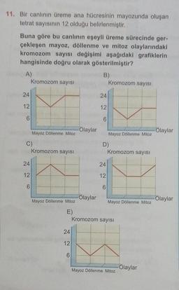 11. Bir canlının üreme ana hücresinin mayozunda oluşan
tetrat sayısının 12 olduğu belirlenmiştir.
Buna göre bu canlının eşeyli üreme sürecinde ger-
çekleşen mayoz, döllenme ve mitoz olaylarındaki
kromozom sayısı değişimi aşağıdaki grafiklerin
hangisinde doğru olarak gösterilmiştir?
A)
B)
24
12
6
Kromozom sayısı
24
12
6
Mayoz Döllenme Mitoz
C)
Kromozom sayısı
Mayoz Döllenme Mitoz
E)
24
12
6
Olaylar
Olaylar
24
12
6
Kromozom sayısı
24
12
6
Mayoz Döllenme Mitoz
D)
Kromozom sayısı
Mayoz Döllenme Mitoz
Kromozom sayısı
Mayoz Döllenme Mitoz
Olaylar
Olaylar
Olaylar